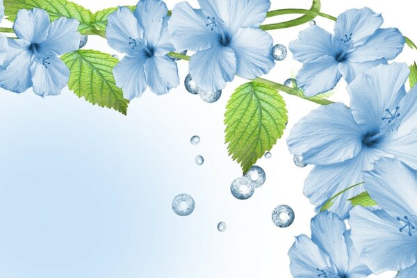 Flores azules con gotas de agua