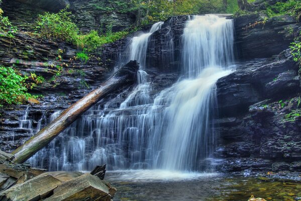 Schöner Wasserfall und um Bäume herum