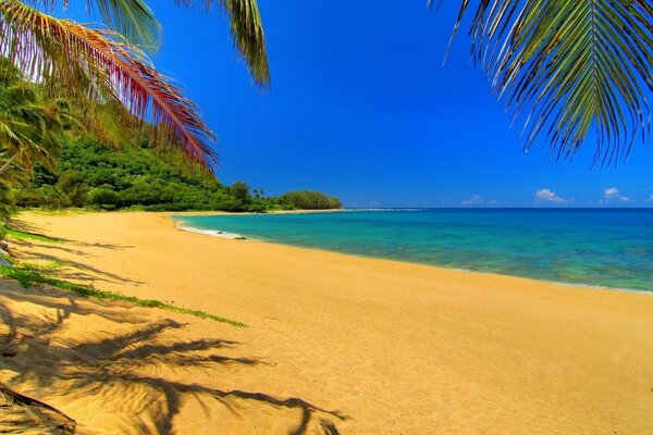 Paradise coast under a cloudless sky