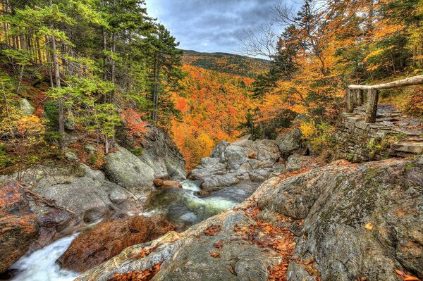 Paesaggio autunnale. Foresta, montagne e fiume