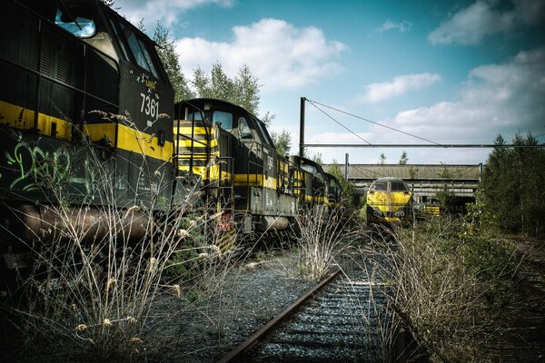 Le train roule sur le chemin de fer