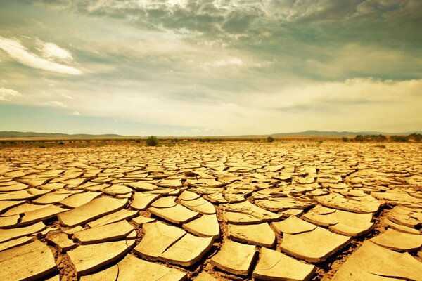 Dürre in der Wüste im Sommer