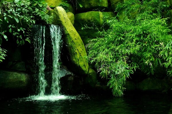 Die Natur. Wasserfall. Schönes Grün