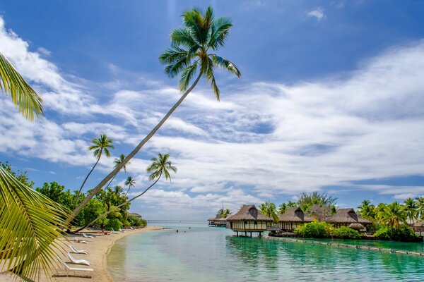 Tropical beach in Australia in summer