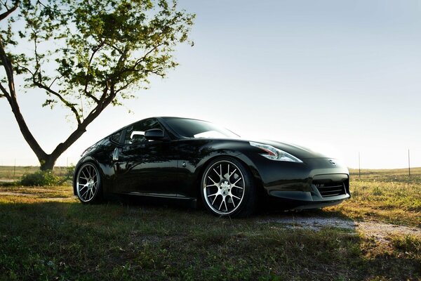 Nissan 370z car on the background of nature and wood