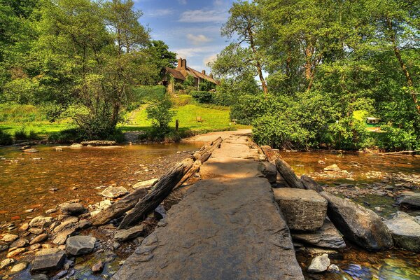 Country landscape. River and trees