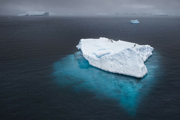 Iceberg nell oceano. Blocco di ghiaccio