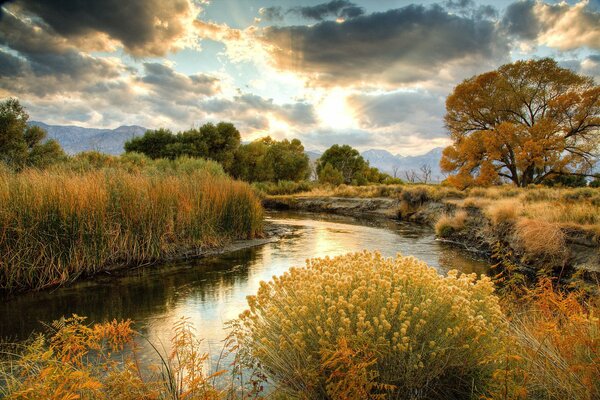 Greenery grows under the sky and water splashes