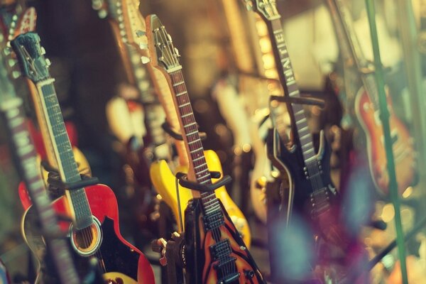 A large selection of guitars in the music store