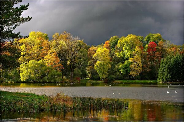 Herbstliche Teichlandschaft