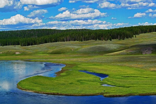 Park Narodowy Yellowstone w USA