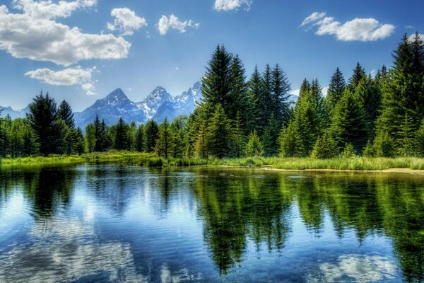 Reflejo de la belleza de la naturaleza en el agua