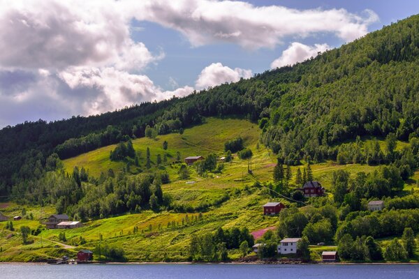 Colinas verdes. Naturaleza en Noruega