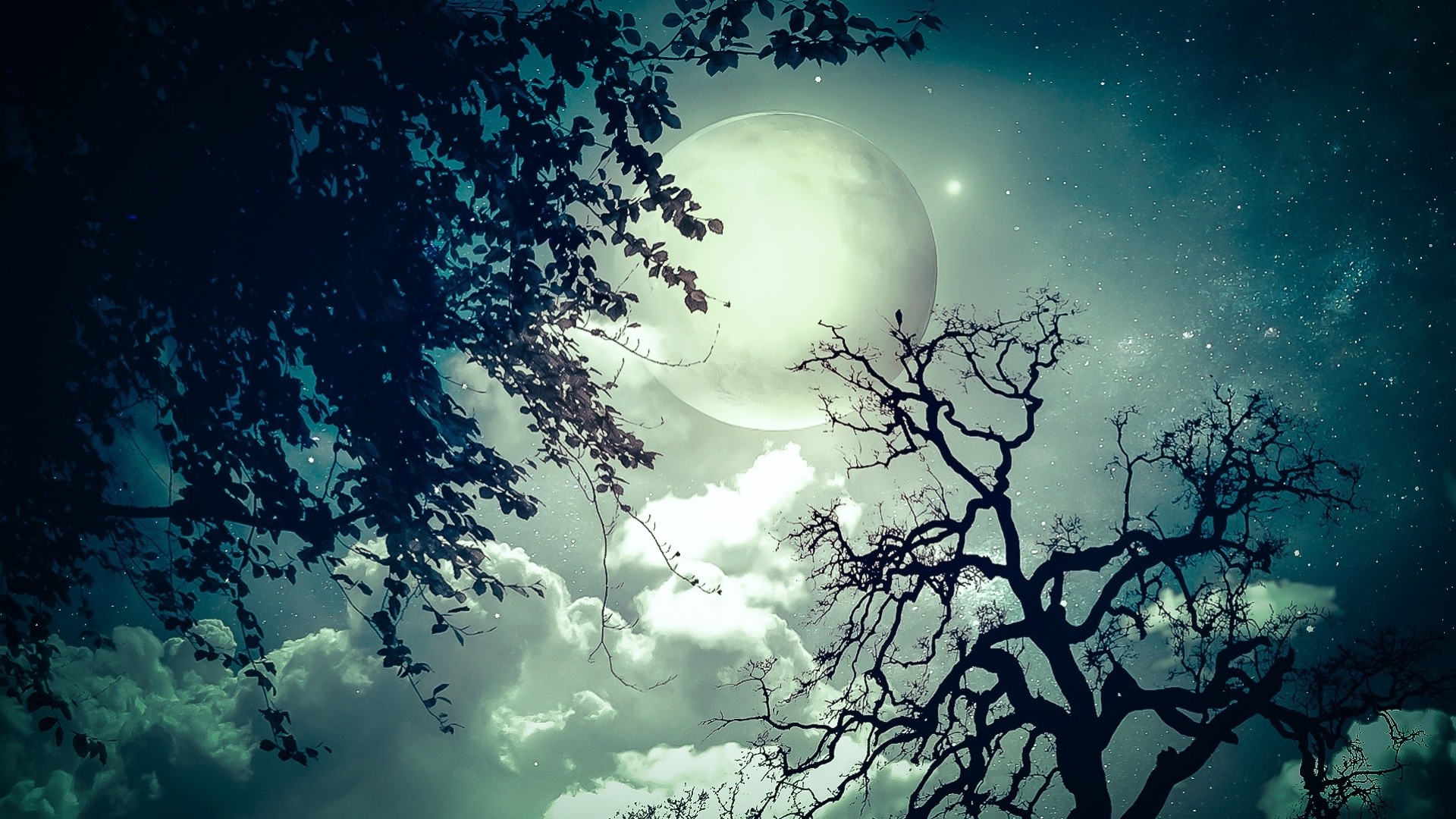 Lonely moon. Мистический фон. Ночь Луна. Лунный пейзаж. Луна фон.