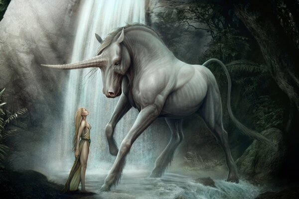 Ragazza e unicorno. Incontro alle cascate