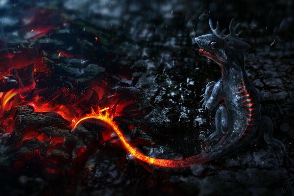 Art for desktop wallpaper dragon and fire