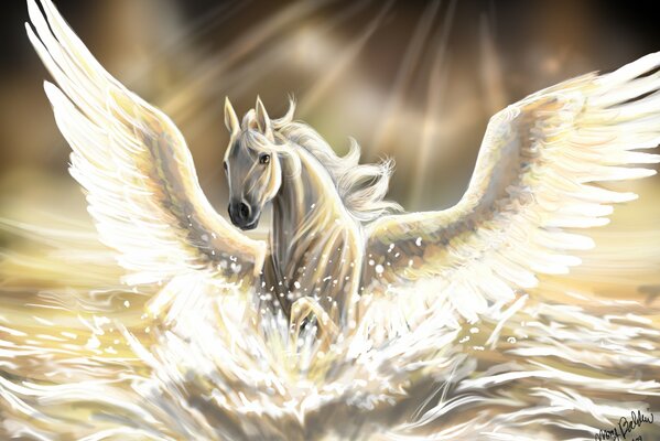 White pegasus in the water under the rays of the sun