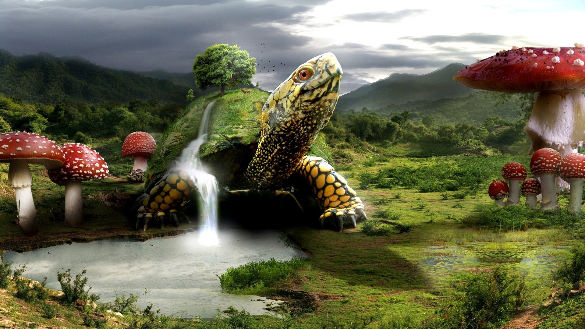 tortue fantasmagorie champignons 3d