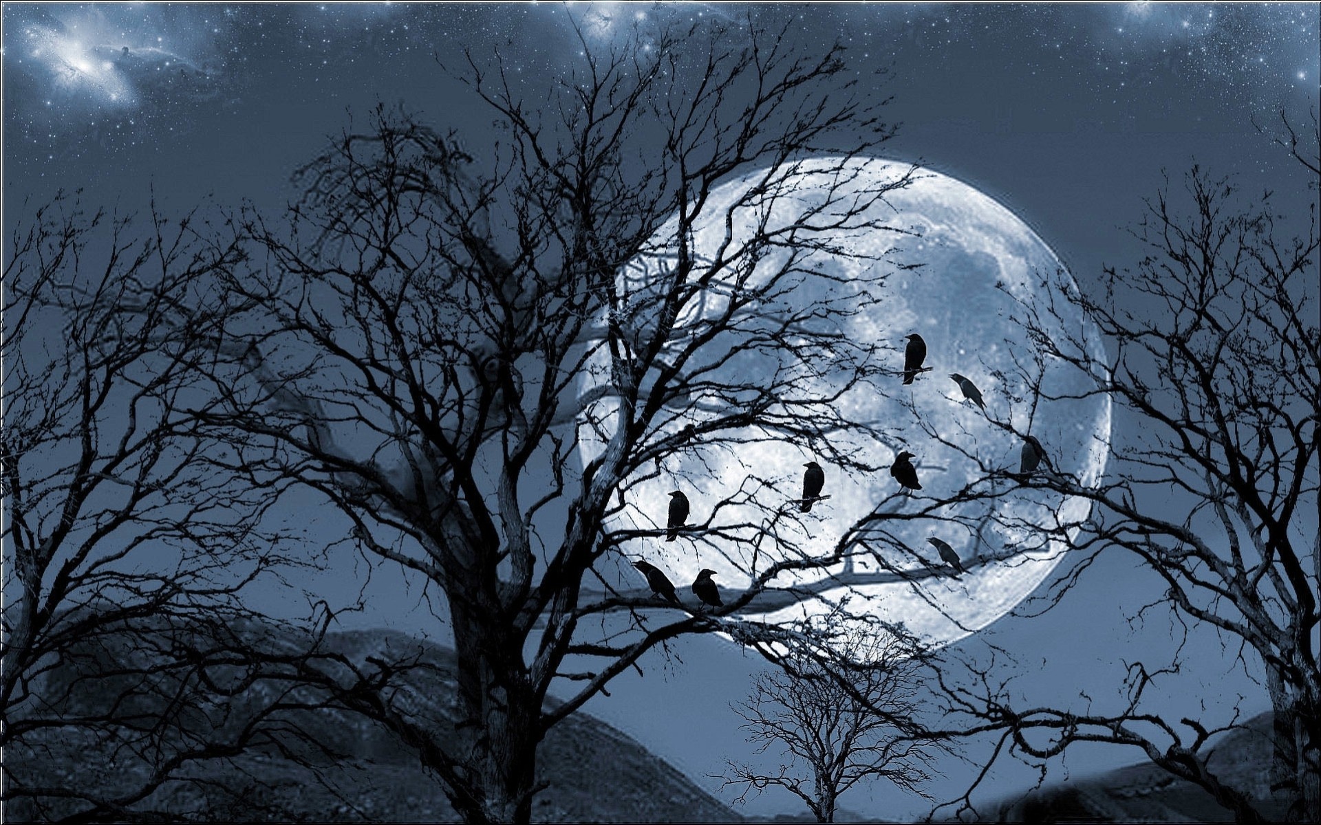 tree moon