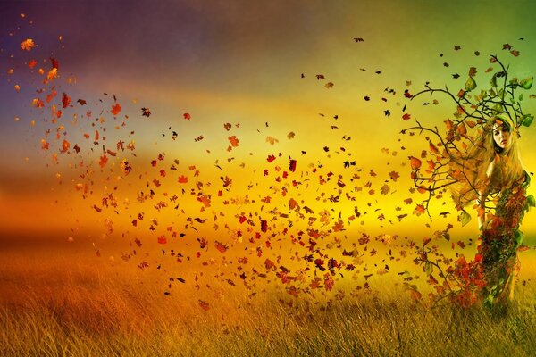 Feuilles d automne dans le vent