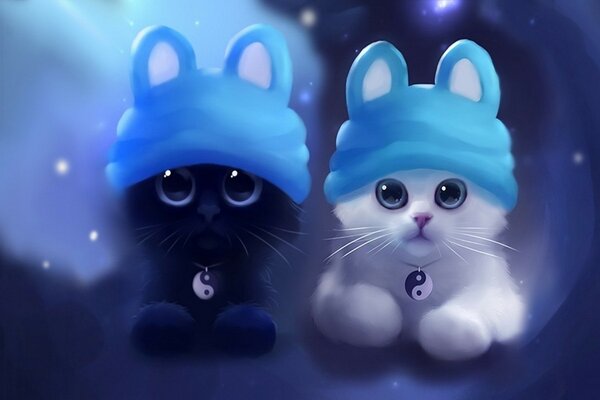 Chinese Yin-yang kittens in hats