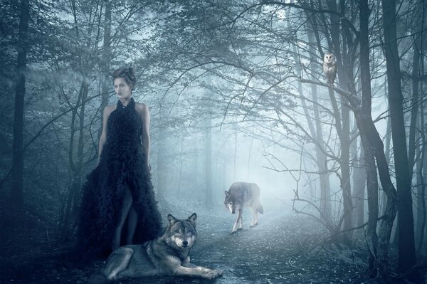 A girl in the forest with wolves