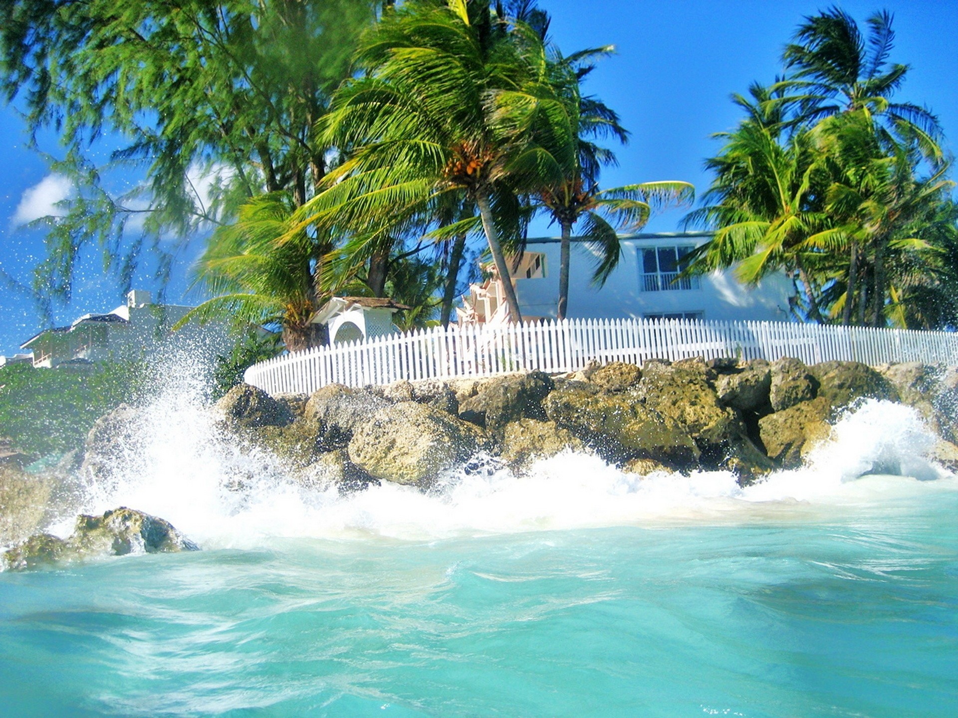 surf palmeras océano casa cielo isla de barbados belleza