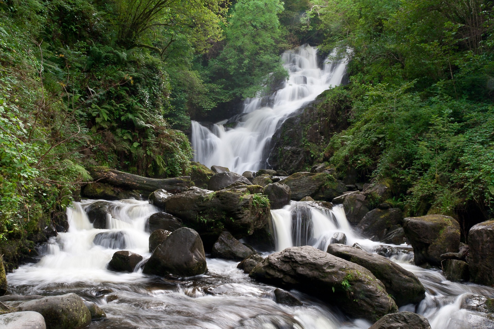 tones landscape waterfall green tree forest