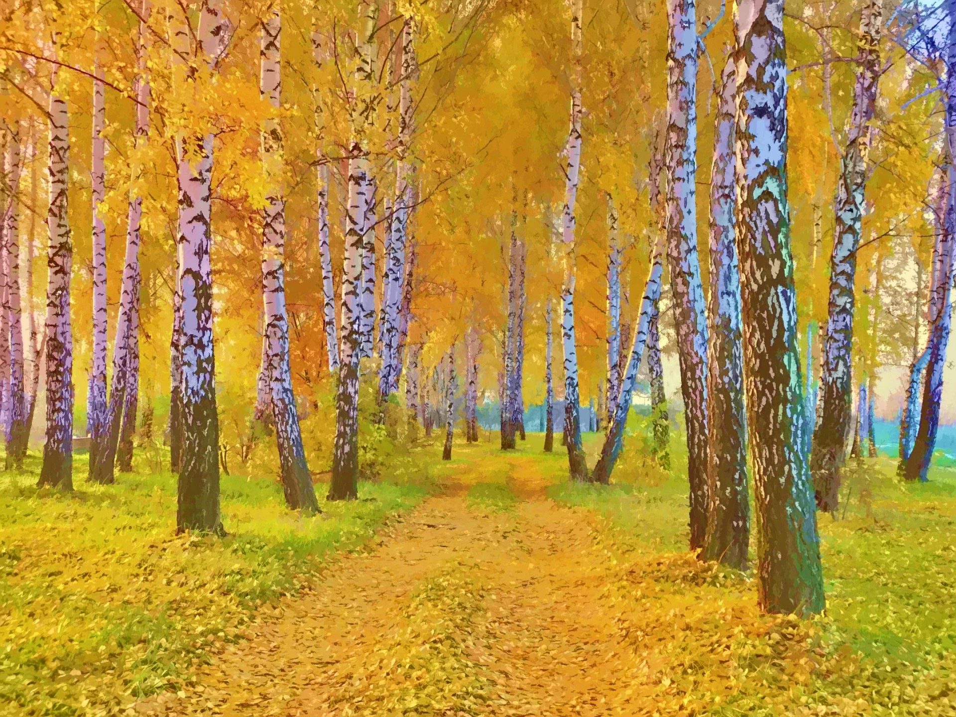 paysage nature bouleau dessin route automne feuilles jaunes