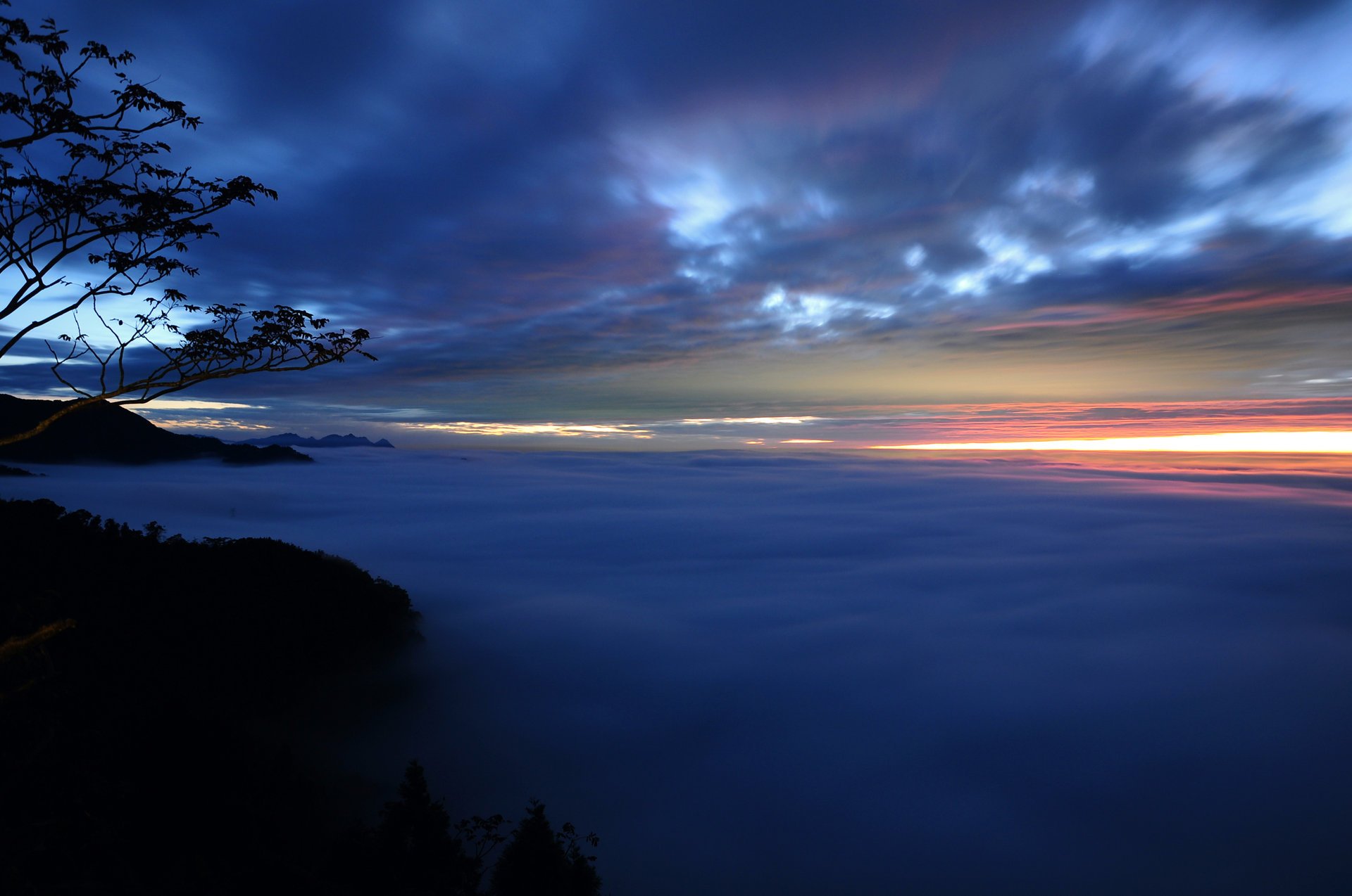 the evening sunset fog trees branches haze clouds the sky