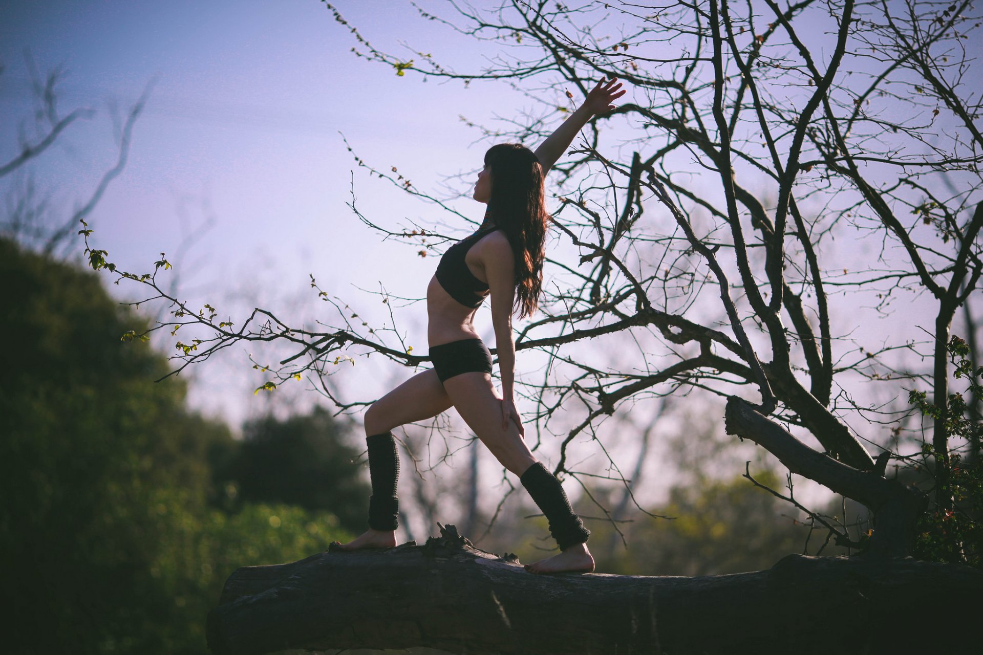 bruna albero stretching