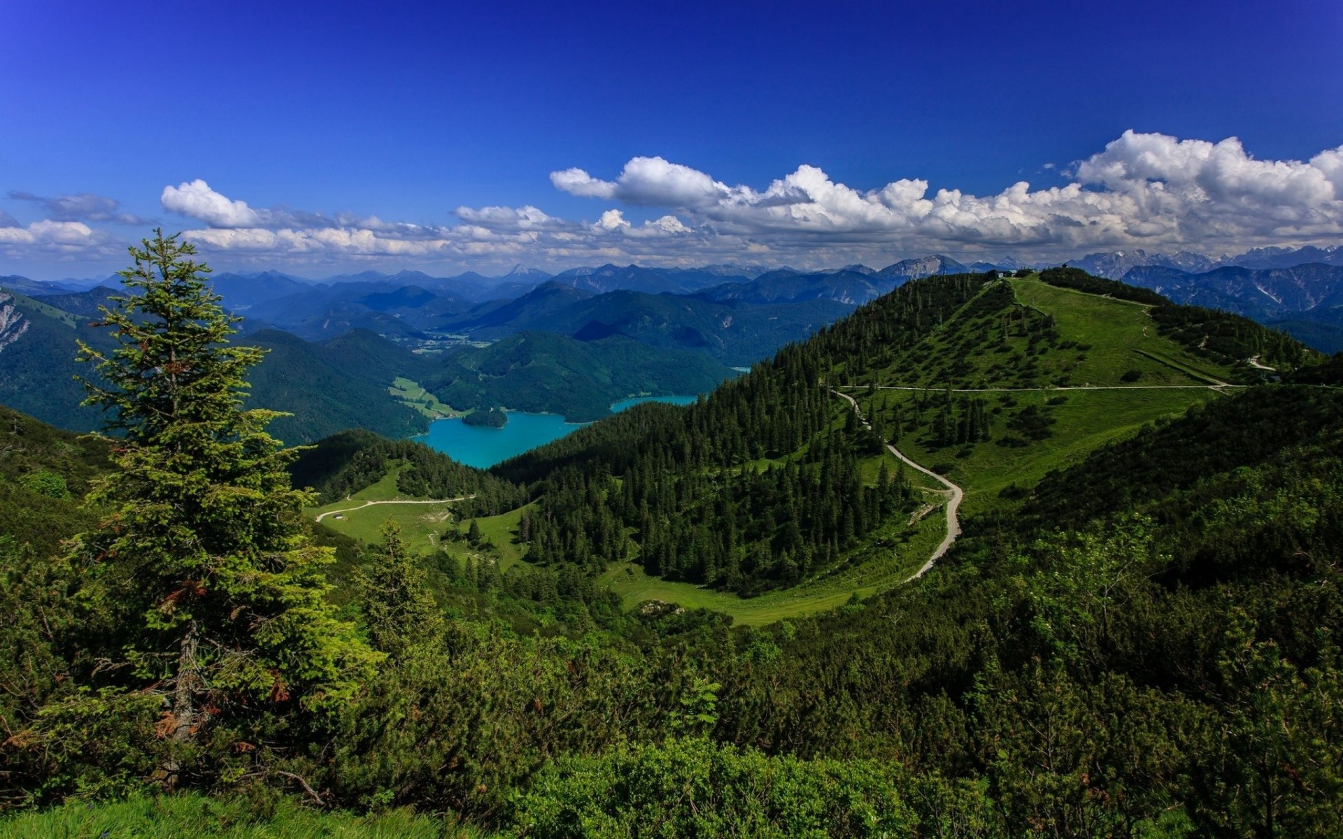 alpes bavaroises forêt lac allemagne réparation