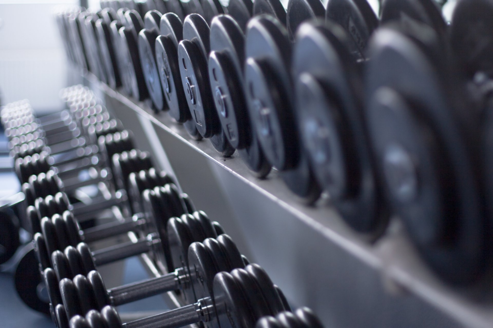 dumbbells different weights gym fitne