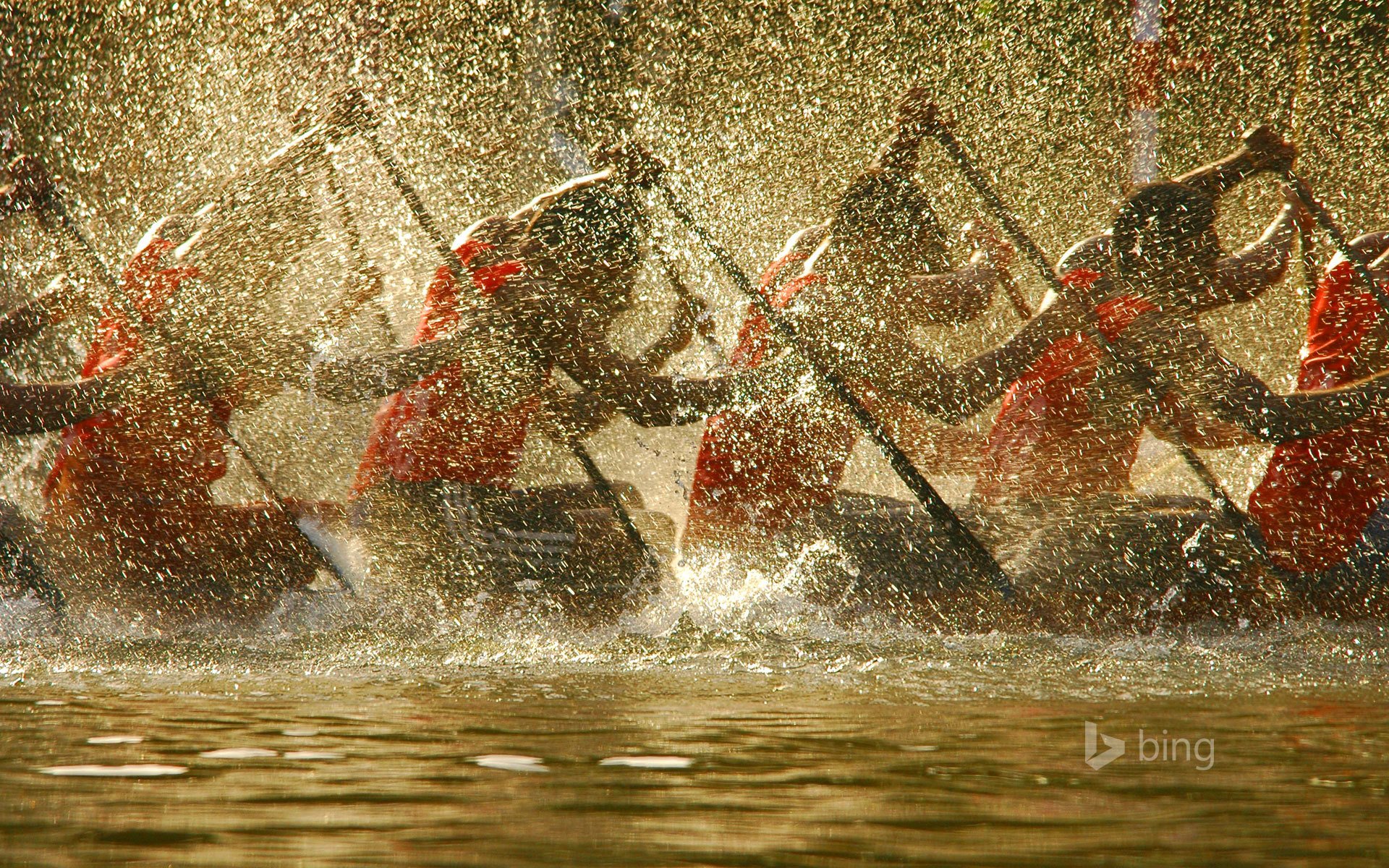 alapuja inde course aviron bateau éclaboussures