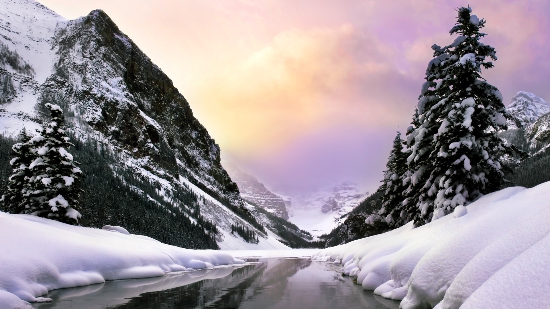 río cachorro naturaleza árboles nieve montañas invierno rocas