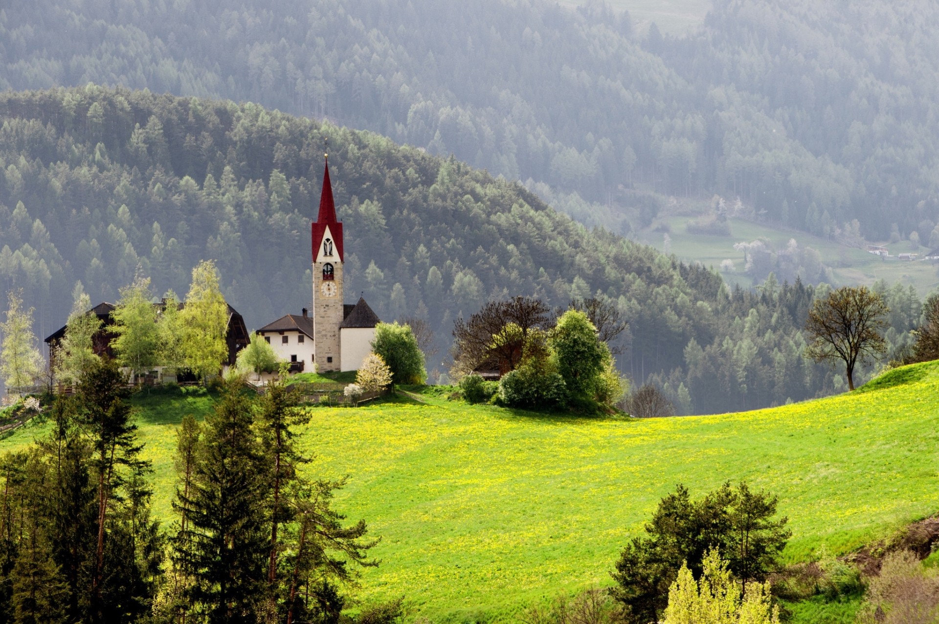 natur gras wald kapelle berge frühling zuhause