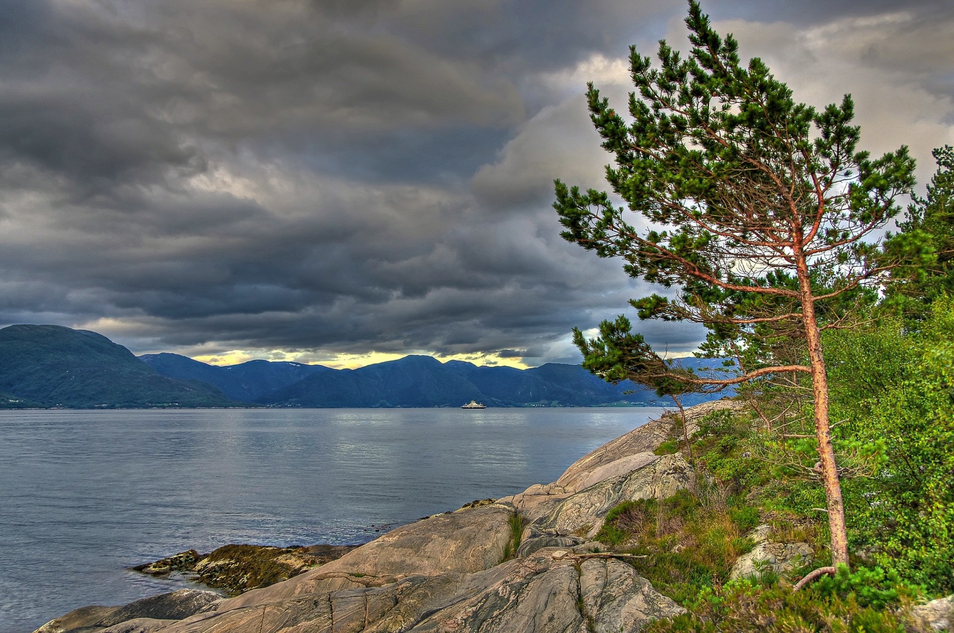 tree pine norway clouds mountain