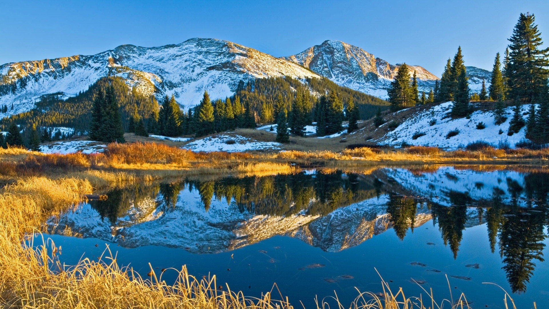 riflessione lago alberi montagne