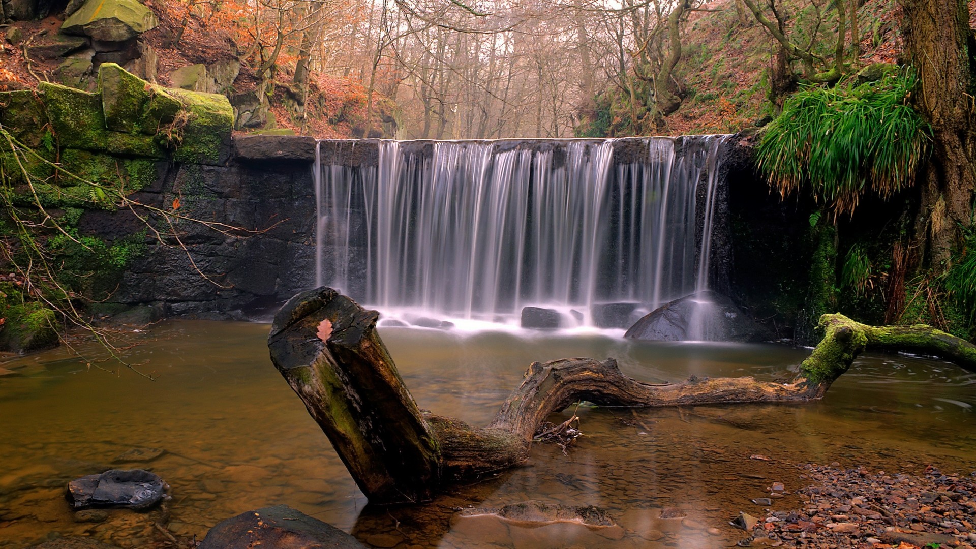 tones waterfall nature tree forest water