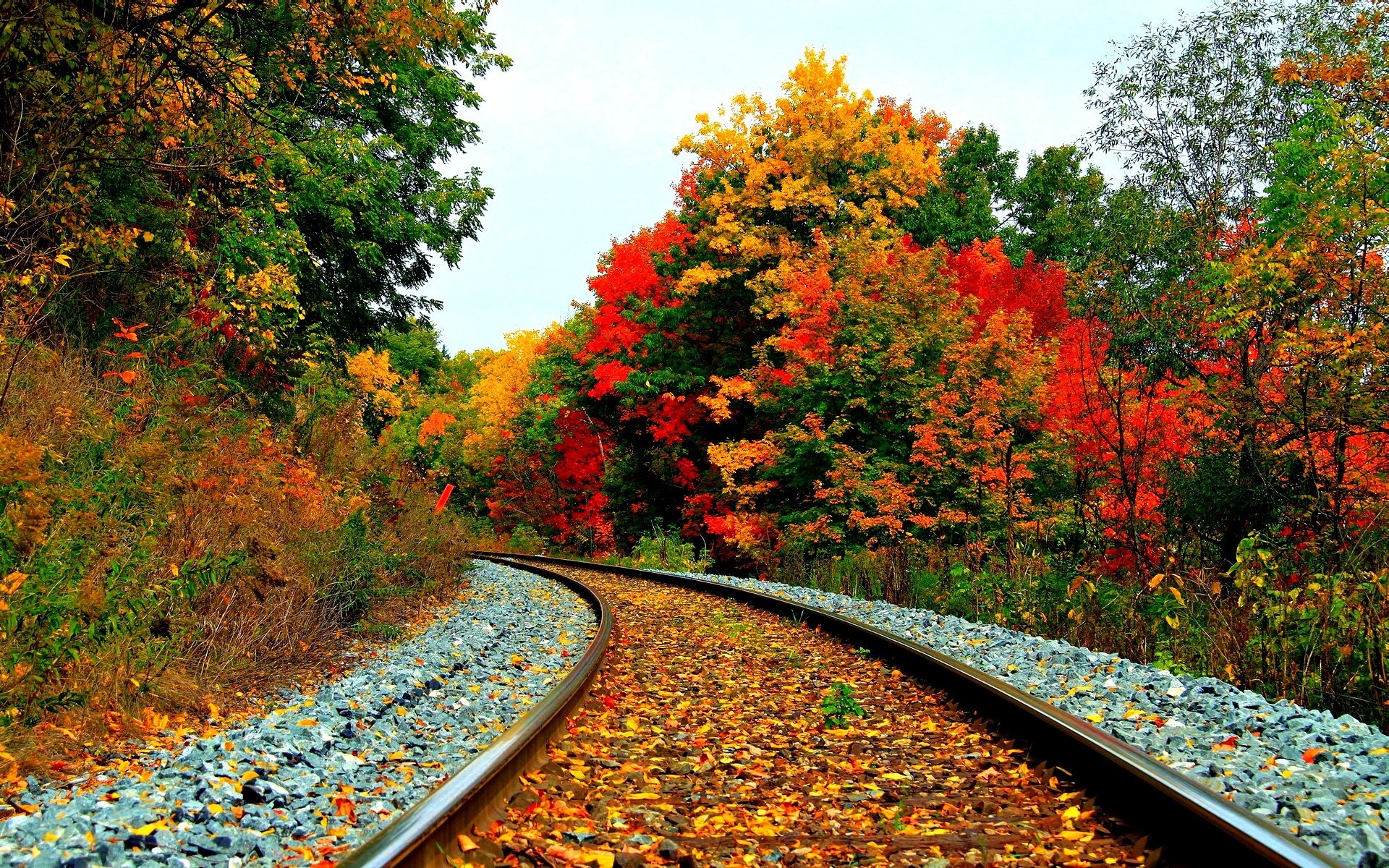 otoño brillante ferrocarril