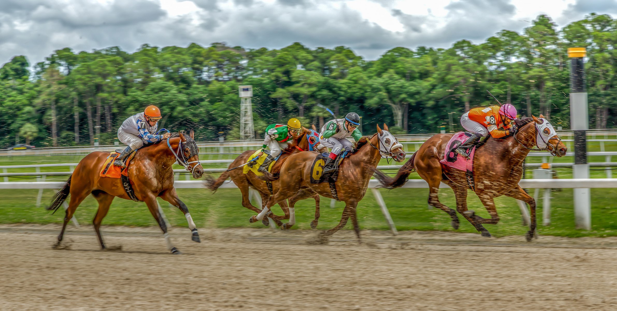 hdr carreras de caballos caballos jinetes hipódromo