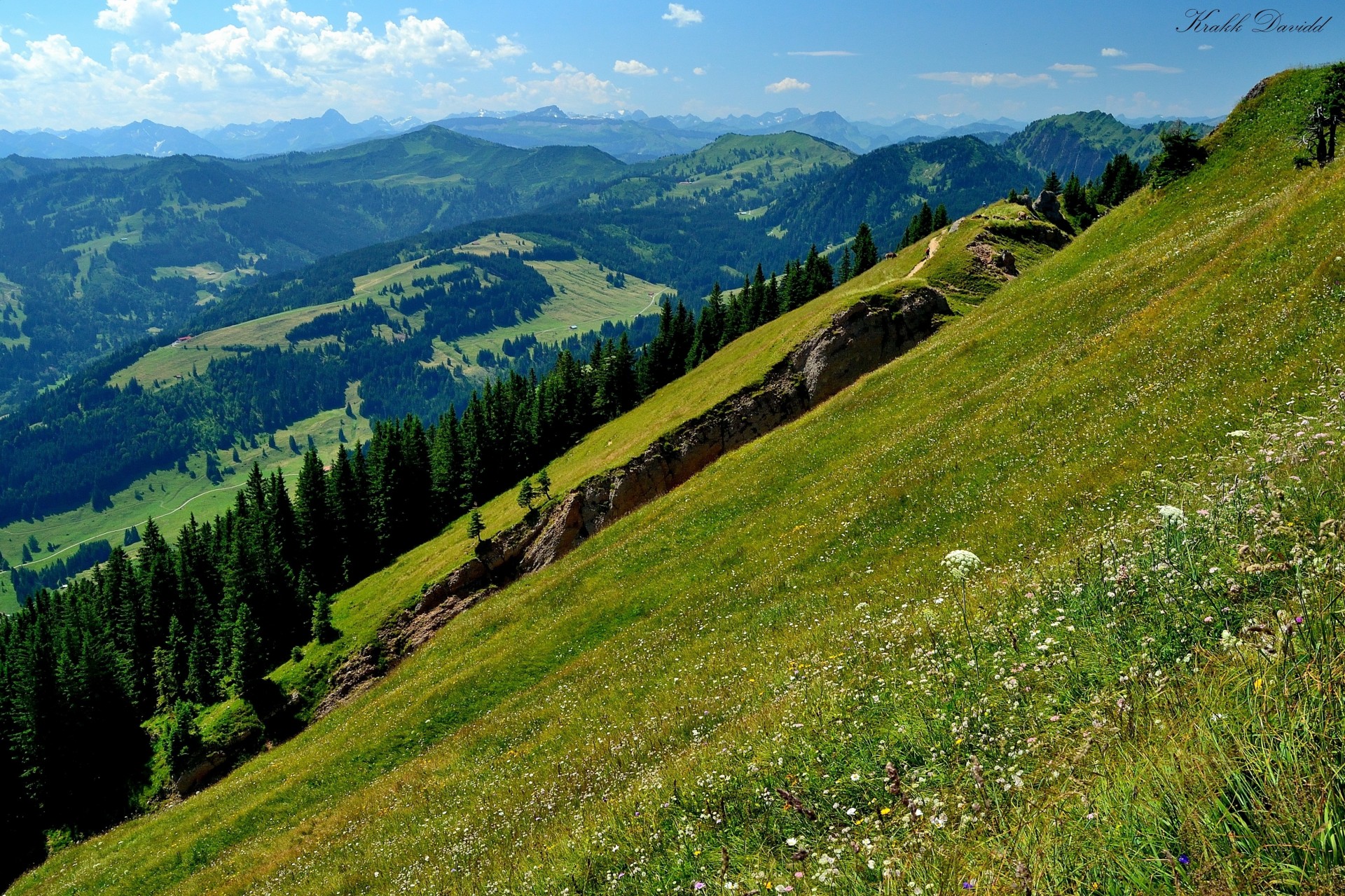 himmel berge hügel wald natur