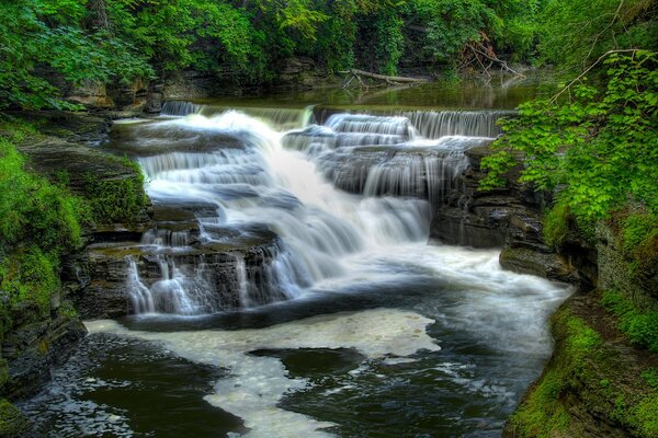 Ripida cascata nella foresta selvaggia