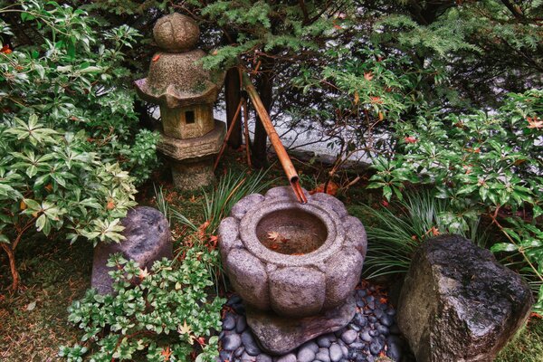 Jardín japonés en Portland