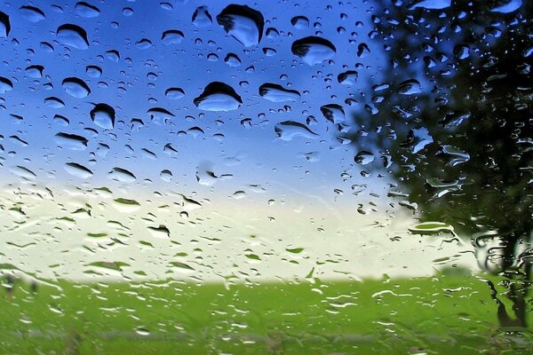 Wassertropfen nach Regen auf Glas