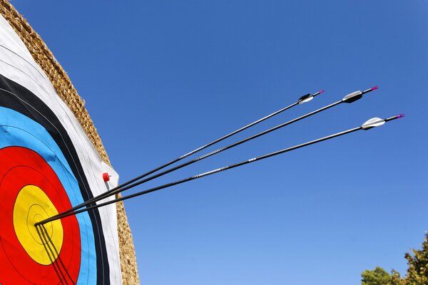 Frecce dall arco al centro del bersaglio