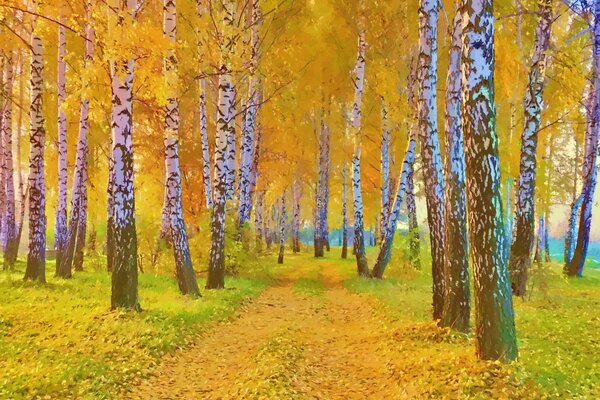 Bosque de abedul de otoño en el fondo