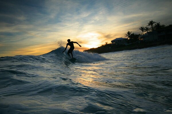 A man catches a wave on a board