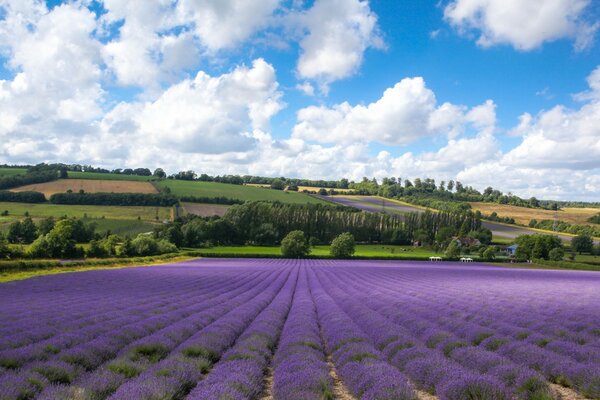 Nuages lilas en Toscane