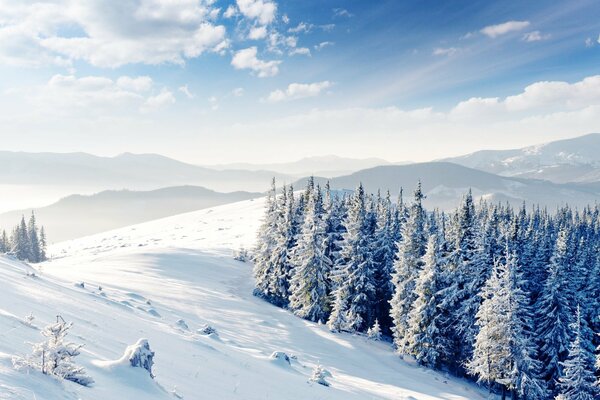 Die schneeweiße und kalte Pracht des Winters